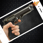 Gun Sounds Icon